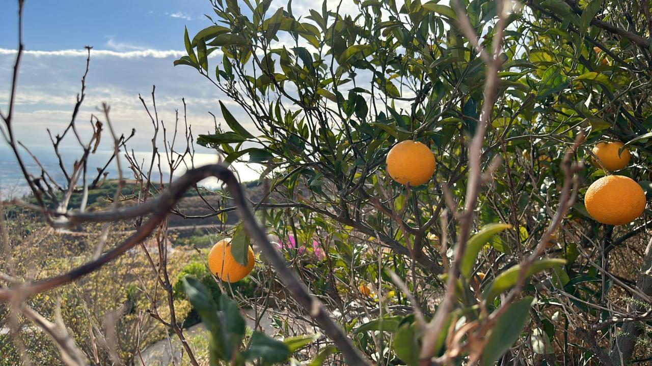 El Paraiso De Salobrena Luaran gambar